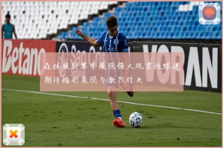 森林狼新赛季展现强大观赏性球迷期待精彩表现与激烈对决